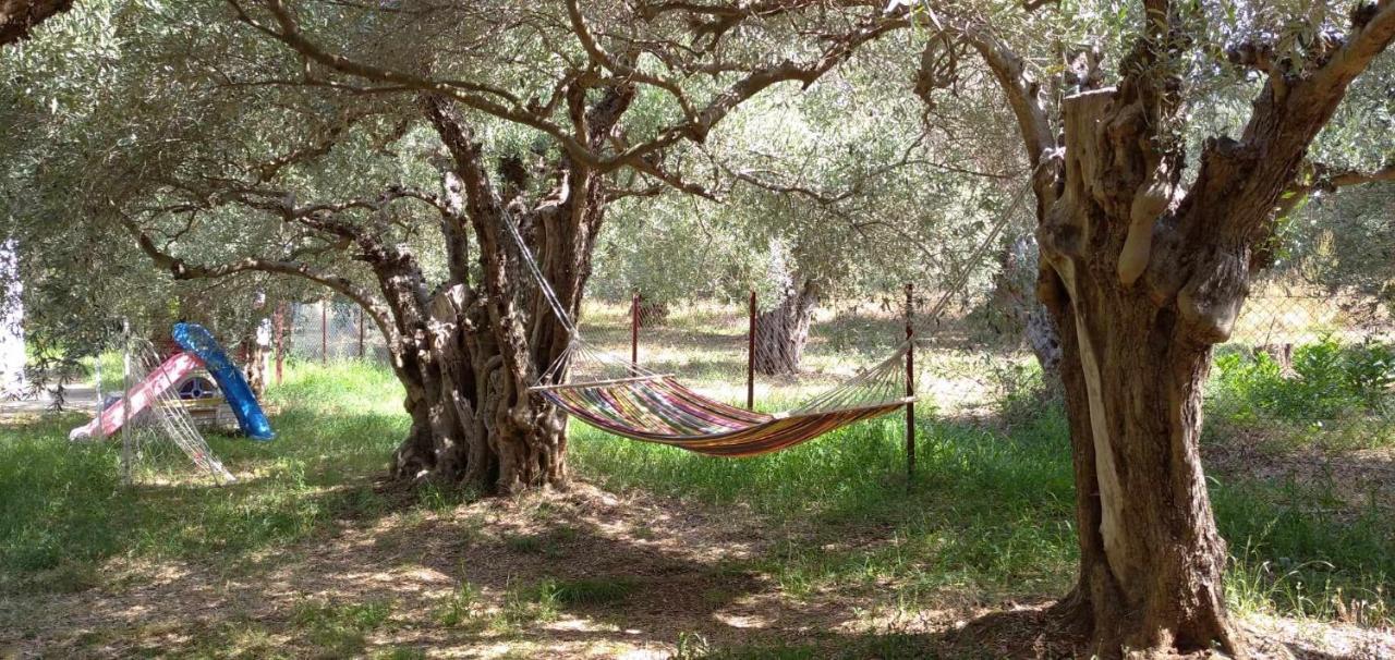 The Small House In The Olive Grove Lefokastro Extérieur photo