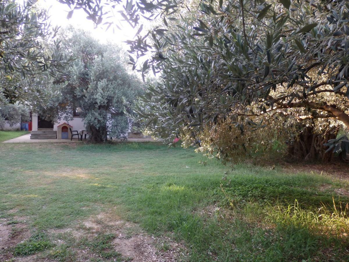 The Small House In The Olive Grove Lefokastro Extérieur photo