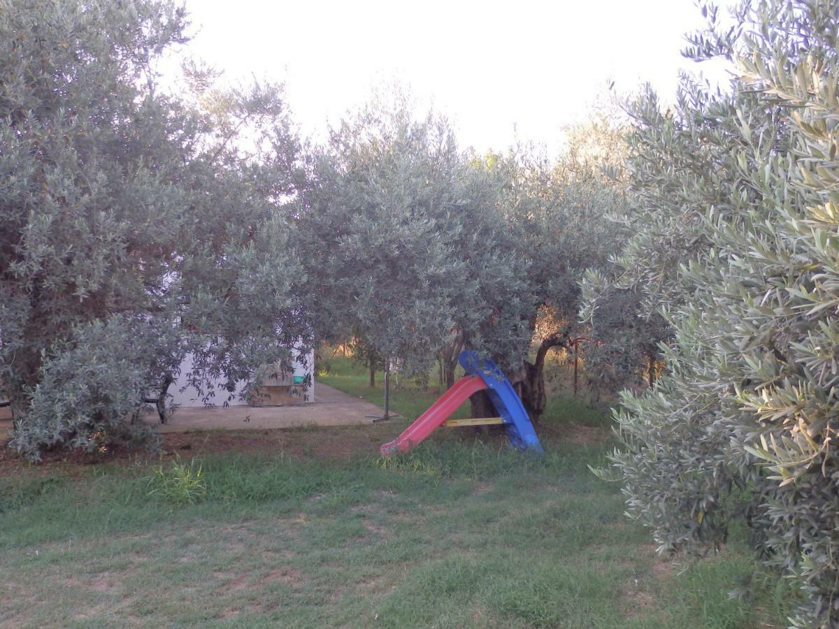 The Small House In The Olive Grove Lefokastro Extérieur photo