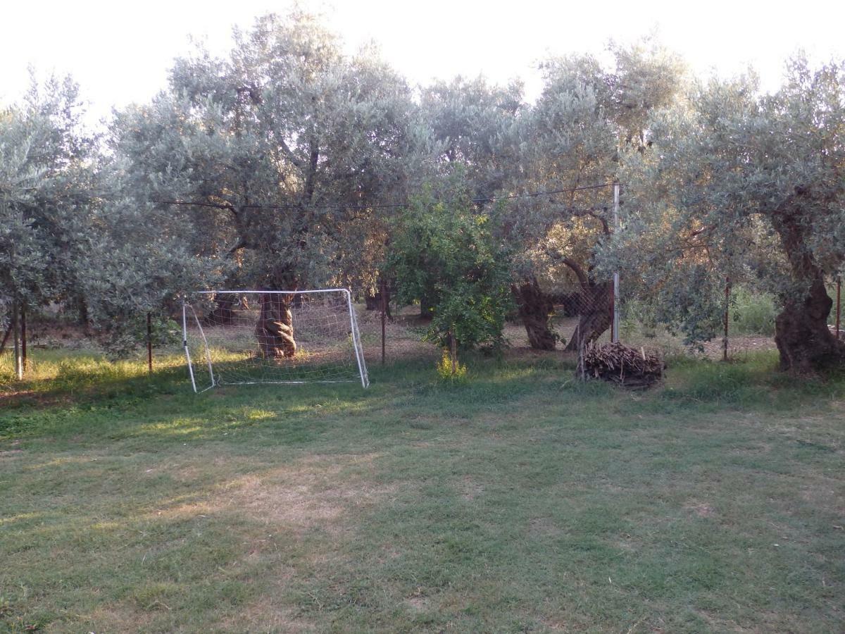 The Small House In The Olive Grove Lefokastro Extérieur photo