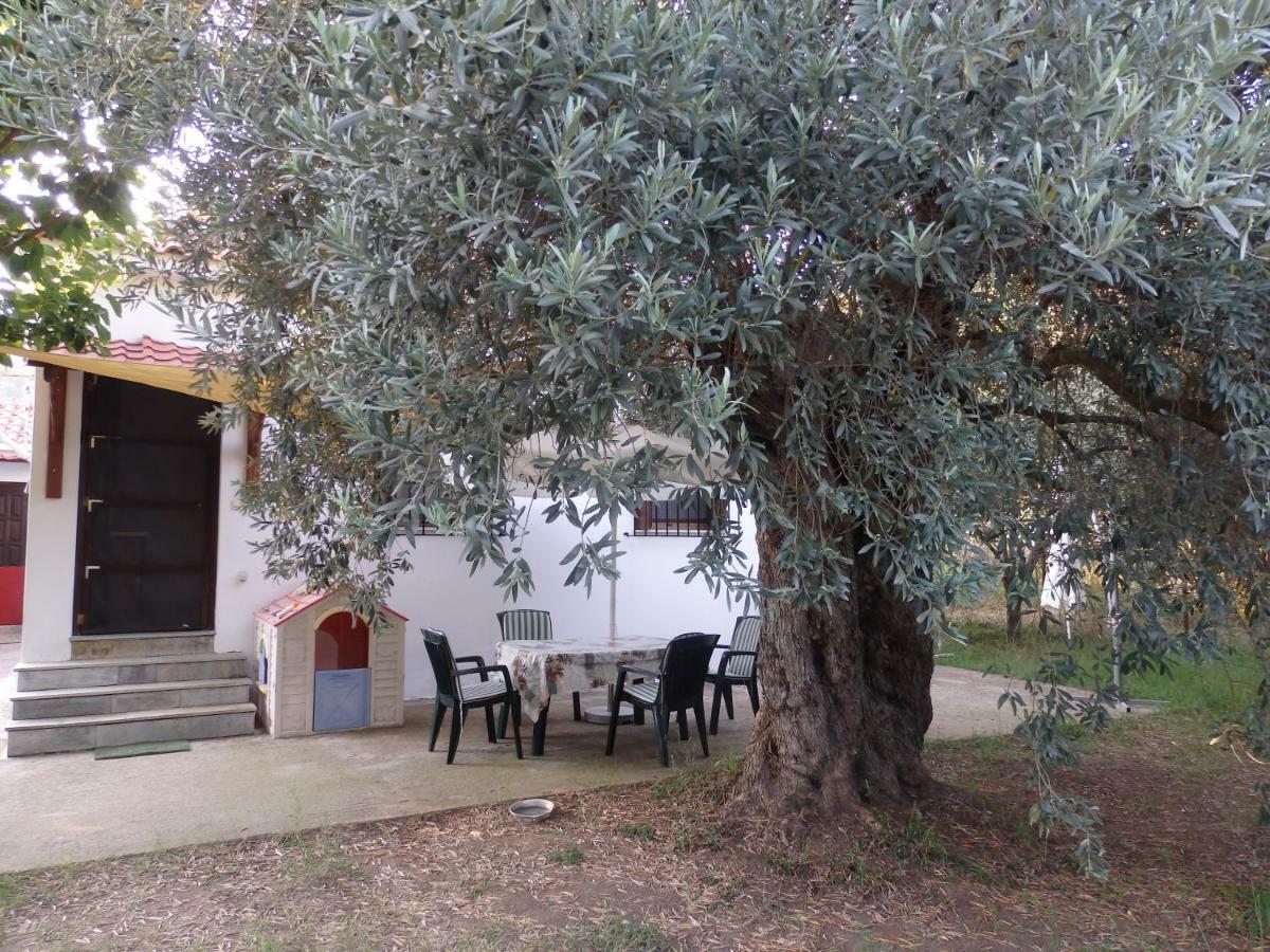 The Small House In The Olive Grove Lefokastro Extérieur photo