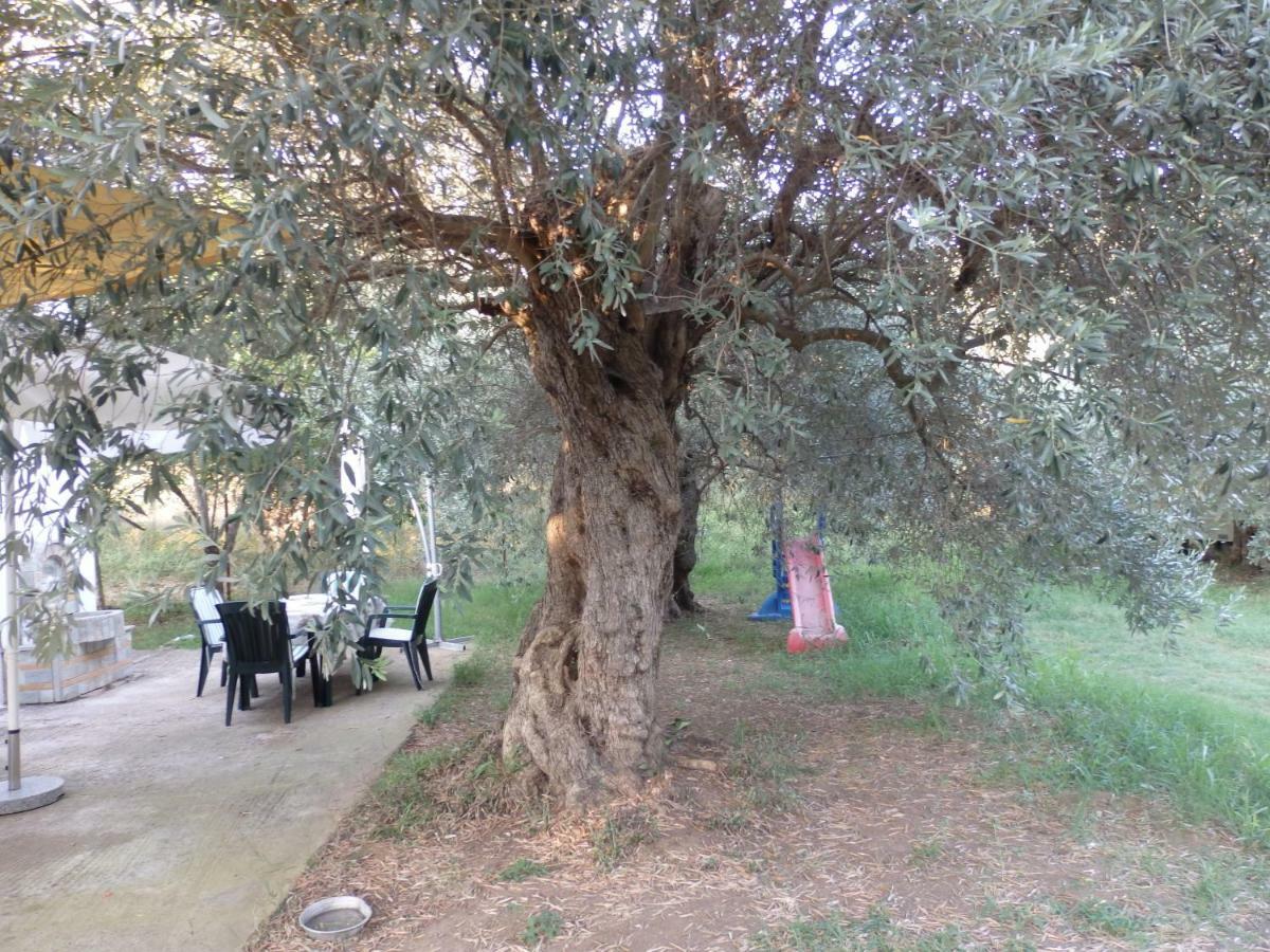 The Small House In The Olive Grove Lefokastro Extérieur photo