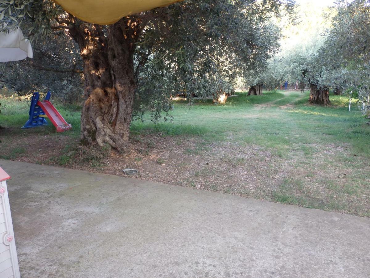 The Small House In The Olive Grove Lefokastro Extérieur photo